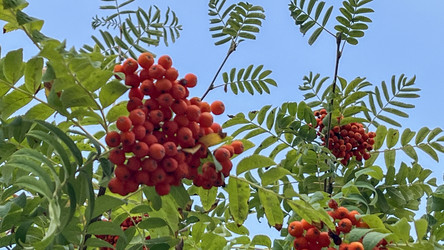 Similar image 21972318