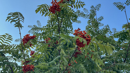 Similar image 21972323