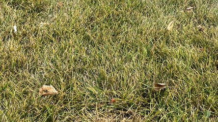 Similar image 21972325