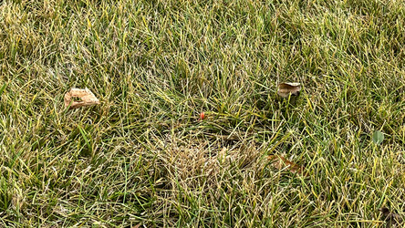 Similar image 21972328