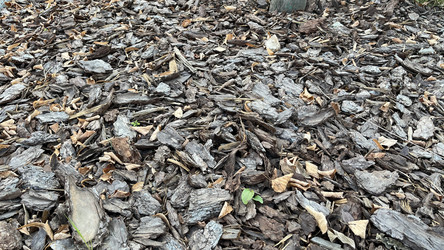 Similar image 21972329