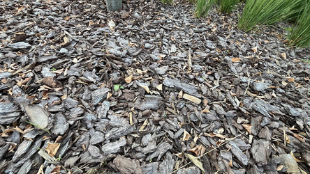 Similar image 21972333