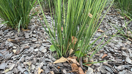 Similar image 21972334