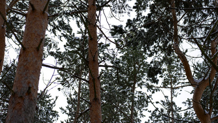 Similar image 21972335