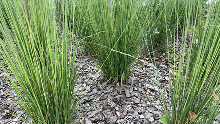 Similar image 21972338