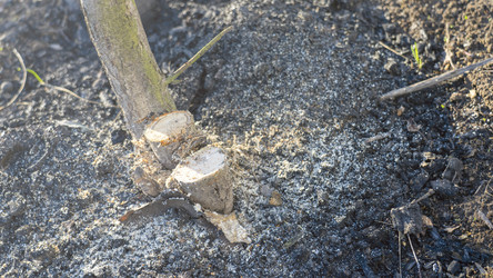 Similar image 21972347