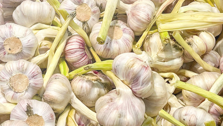 Similar image 21972349