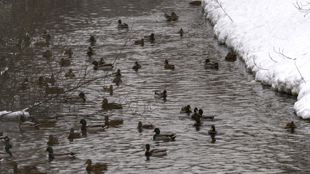 Similar image 21972351