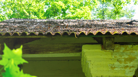 Similar image 21972353