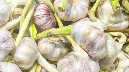 Similar image 21972356