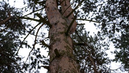 Similar image 21972358