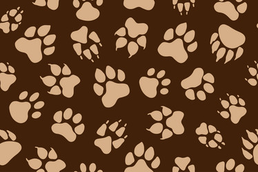 Similar image 21968801