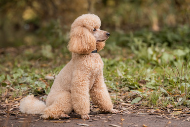 Similar image 21971157