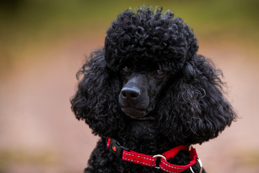 Similar image 21971158