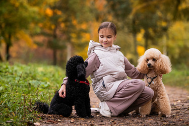 Similar image 21971159