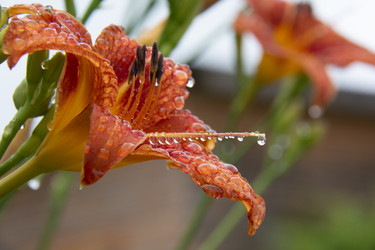 Similar image 21955306