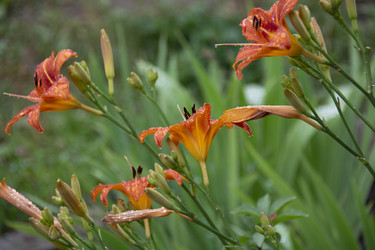 Similar image 21955307