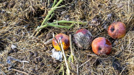 Similar image 21972222