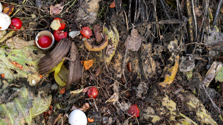 Similar image 21972224