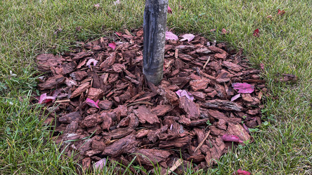 Similar image 21972230