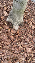 Similar image 21972234