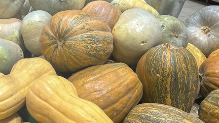 Similar image 21972239