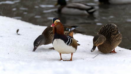 Similar image 21972244