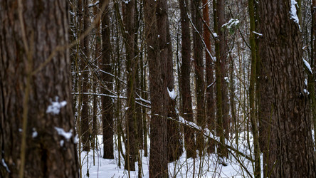 Similar image 21972246