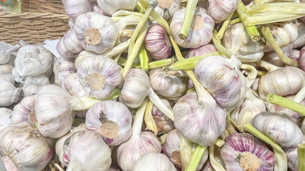 Similar image 21972257