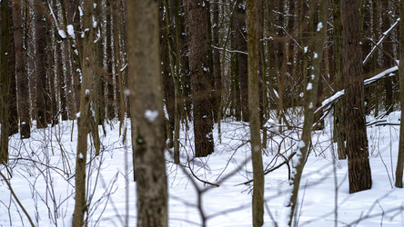 Similar image 21972258