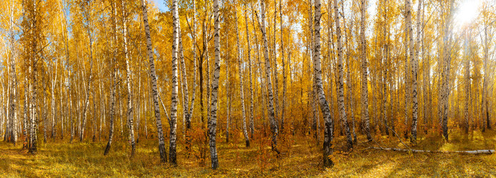 Similar image 21972788