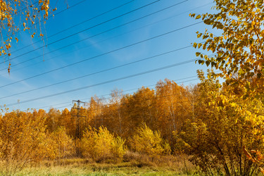 Similar image 21972790