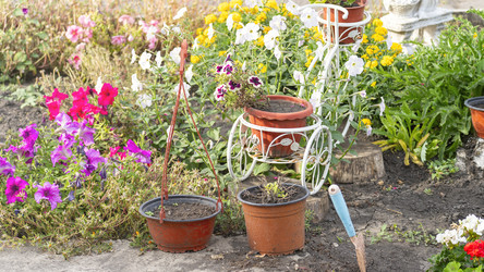 Similar image 21972077