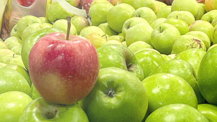 Similar image 21972079