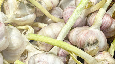 Similar image 21972081