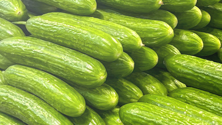 Similar image 21972082