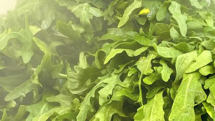 Similar image 21972084