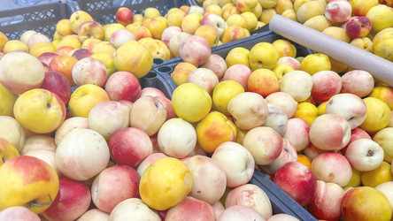 Similar image 21972086