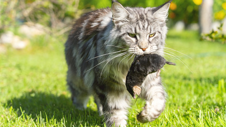 Similar image 21972096