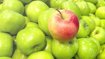 Similar image 21972097