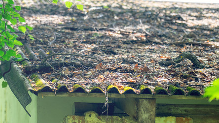 Similar image 21972100