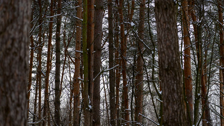 Similar image 21972102