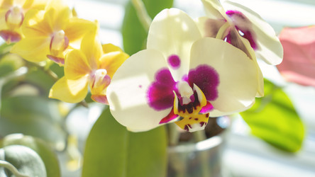 Similar image 21972103