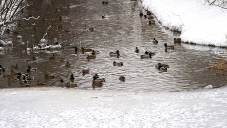 Similar image 21972104