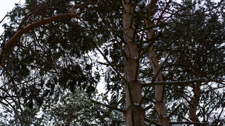 Similar image 21972105