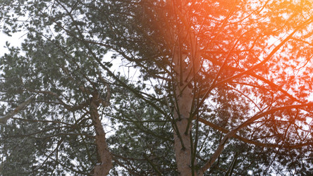 Similar image 21972106