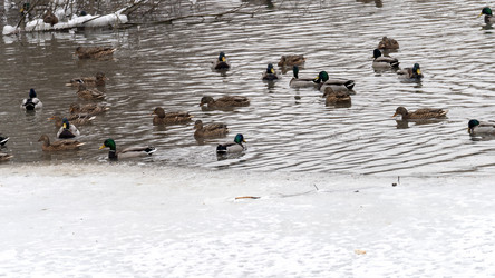 Similar image 21972109