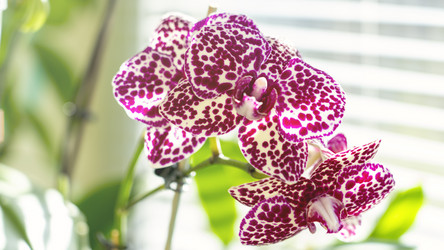 Similar image 21972118