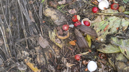 Similar image 21972285