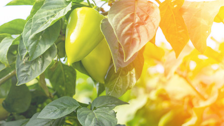 Similar image 21972289